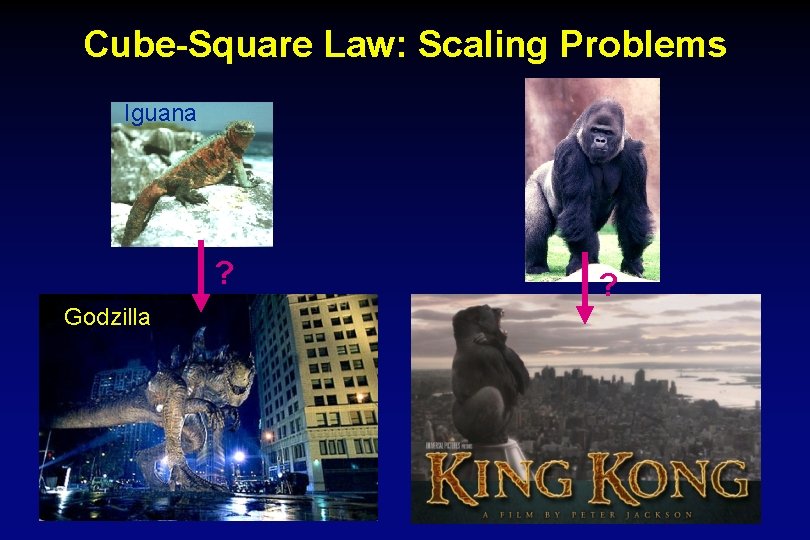 Cube-Square Law: Scaling Problems Iguana ? Godzilla ? 