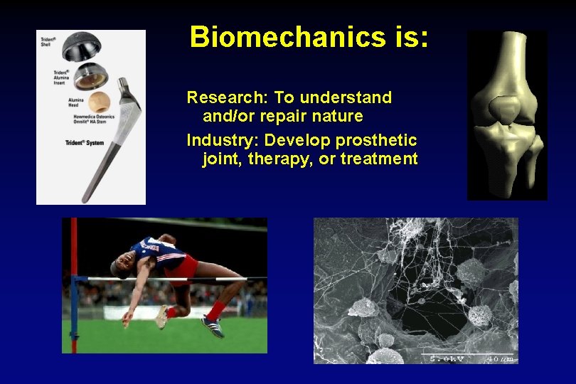 Biomechanics is: Research: To understand and/or repair nature Industry: Develop prosthetic joint, therapy, or
