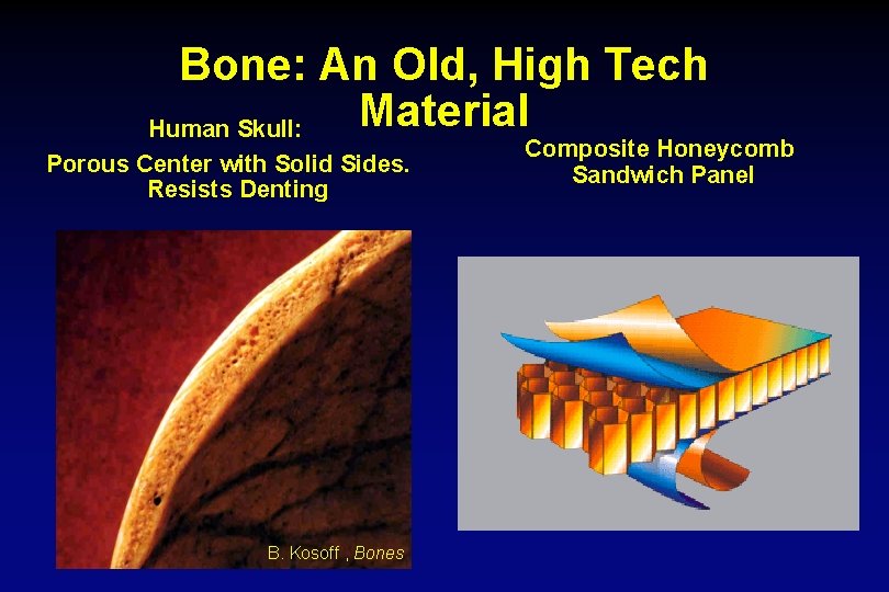 Bone: An Old, High Tech Material Human Skull: Porous Center with Solid Sides. Resists