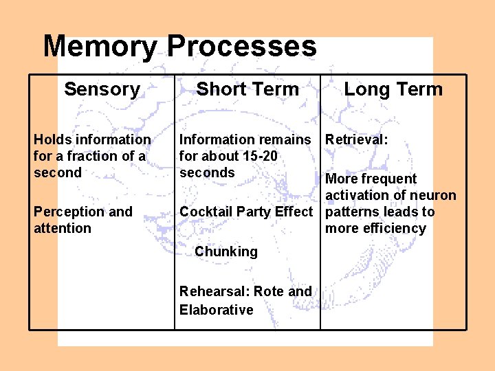 Memory Processes Sensory Holds information for a fraction of a second Perception and attention