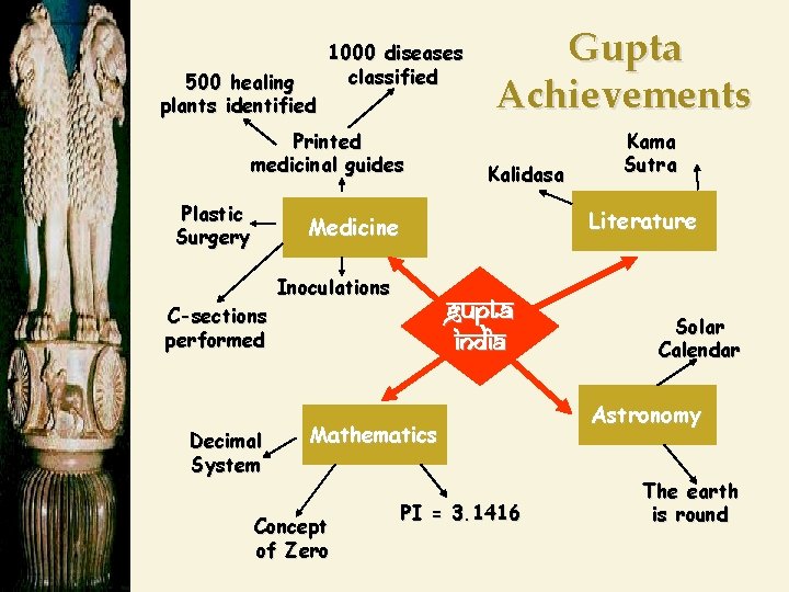 500 healing plants identified 1000 diseases classified Printed medicinal guides Plastic Surgery Gupta Achievements
