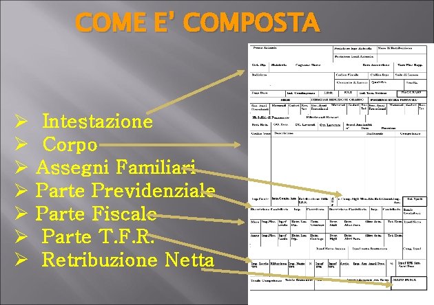 COME E’ COMPOSTA Ø Ø Ø Ø Intestazione Corpo Assegni Familiari Parte Previdenziale Parte