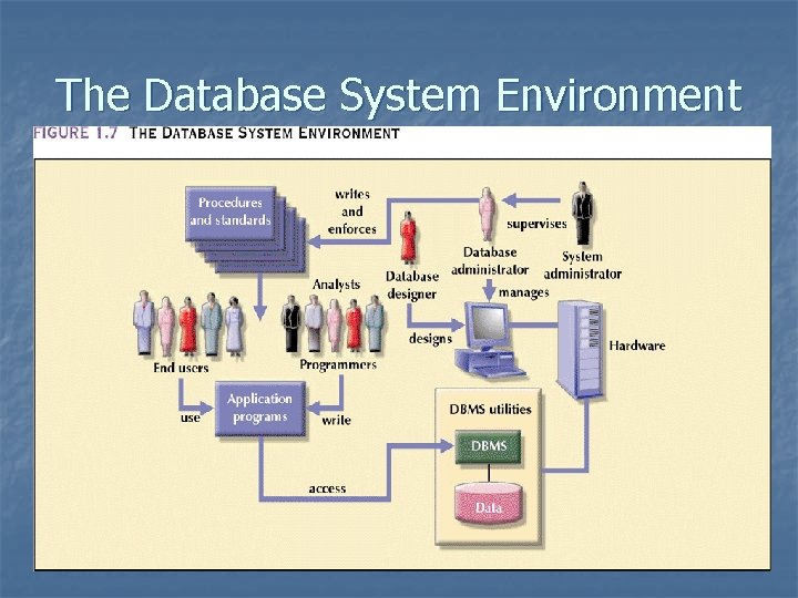 The Database System Environment 