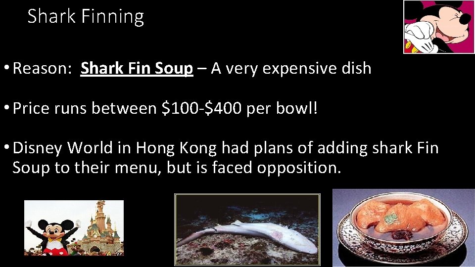 Shark Finning • Reason: Shark Fin Soup – A very expensive dish • Price