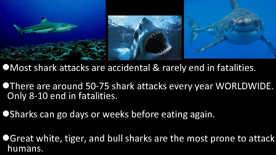 Villains l. Most shark attacks are accidental & rarely end in fatalities. l. There