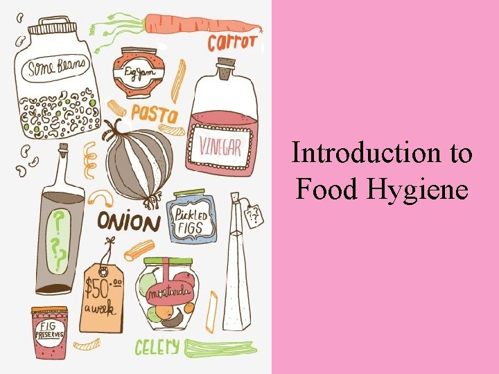 Introduction to Food Hygiene 