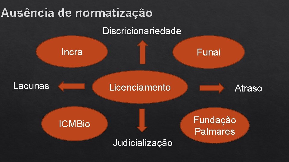 Ausência de normatização Discricionariedade Incra Lacunas Funai Licenciamento Atraso Fundação Palmares ICMBio Judicialização 