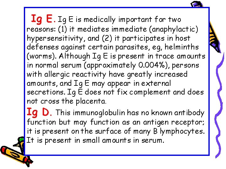 Ig E is medically important for two reasons: (1) it mediates immediate (anaphylactic) hypersensitivity,