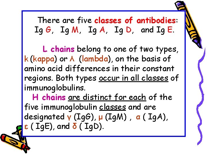 There are five classes of antibodies: Ig G, Ig M, Ig A, Ig D,