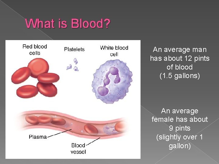 What is Blood? An average man has about 12 pints of blood (1. 5