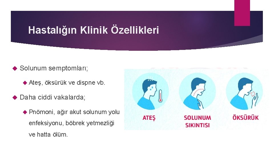 Hastalığın Klinik Özellikleri Solunum semptomları; Ateş, öksürük ve dispne vb. Daha ciddi vakalarda; Pnömoni,