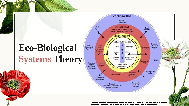 Eco-Biological Systems Theory Weaknesses of urie bronfenbrenner ecological systems theory. (2014, November 10). Retrieved