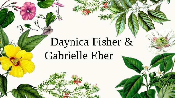 Daynica Fisher & Gabrielle Eber 