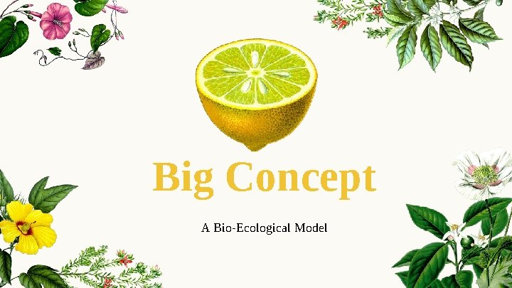 Big Concept A Bio-Ecological Model 