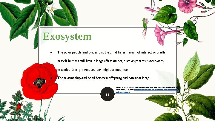 Exosystem ● The other people and places that the child herself may not interact