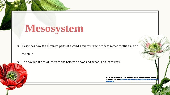 Mesosystem ◉ Describes how the different parts of a child's microsystem work together for