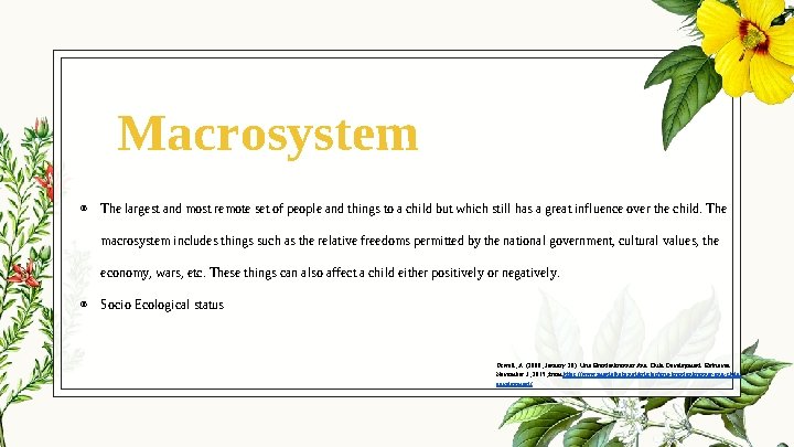 Macrosystem ◉ The largest and most remote set of people and things to a