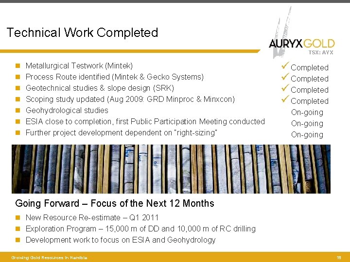 Technical Work Completed TSX: AYX Metallurgical Testwork (Mintek) Process Route identified (Mintek & Gecko