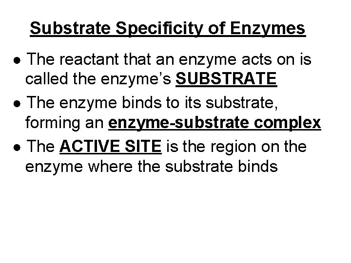 Substrate Specificity of Enzymes ● The reactant that an enzyme acts on is called