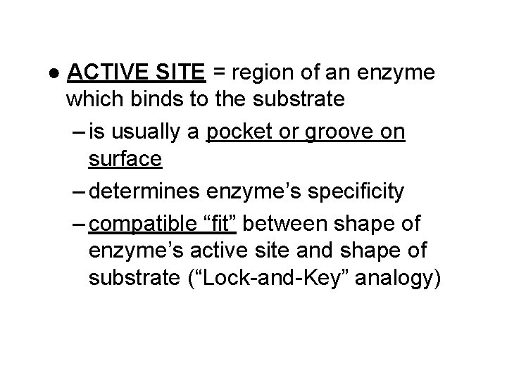 ● ACTIVE SITE = region of an enzyme which binds to the substrate –