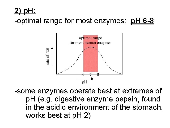 2) p. H: -optimal range for most enzymes: p. H 6 -8 -some enzymes
