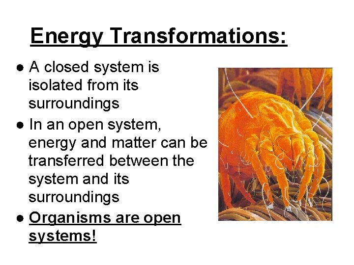 Energy Transformations: ● A closed system is isolated from its surroundings ● In an