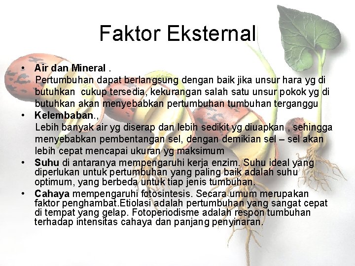 Faktor Eksternal • Air dan Mineral. Pertumbuhan dapat berlangsung dengan baik jika unsur hara