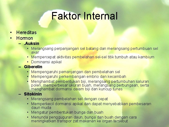 Faktor Internal • Hereditas • Hormon –. Auksin • Merangsang perpanjangan sel batang dan