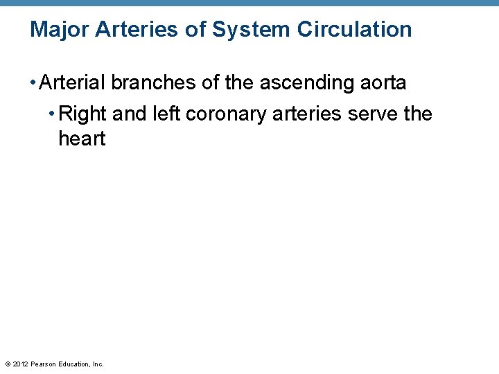 Major Arteries of System Circulation • Arterial branches of the ascending aorta • Right