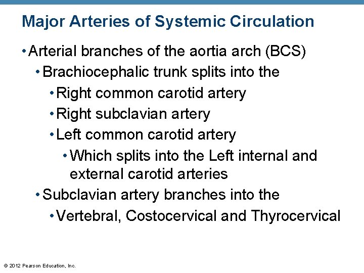 Major Arteries of Systemic Circulation • Arterial branches of the aortia arch (BCS) •