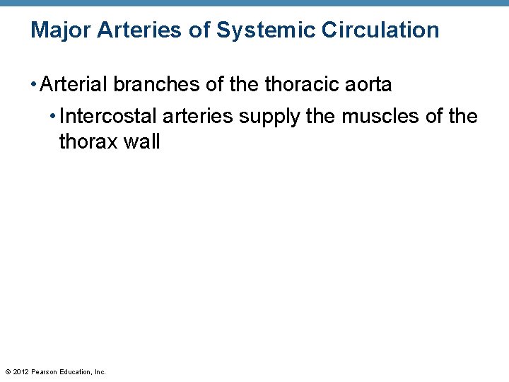 Major Arteries of Systemic Circulation • Arterial branches of the thoracic aorta • Intercostal