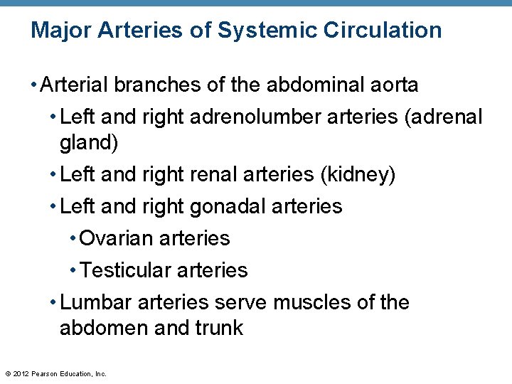 Major Arteries of Systemic Circulation • Arterial branches of the abdominal aorta • Left