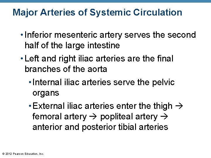 Major Arteries of Systemic Circulation • Inferior mesenteric artery serves the second half of