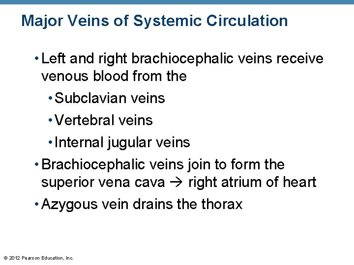 Major Veins of Systemic Circulation • Left and right brachiocephalic veins receive venous blood