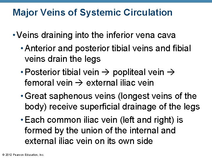 Major Veins of Systemic Circulation • Veins draining into the inferior vena cava •