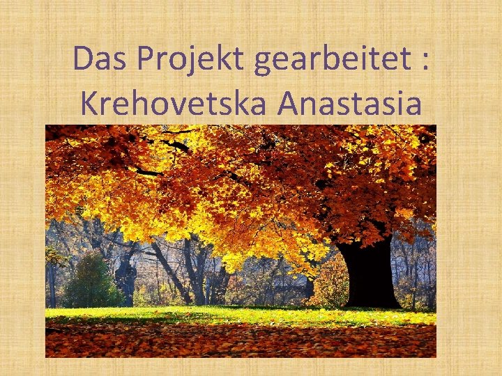 Das Projekt gearbeitet : Krehovetska Anastasia 