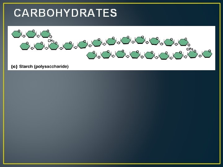 CARBOHYDRATES 