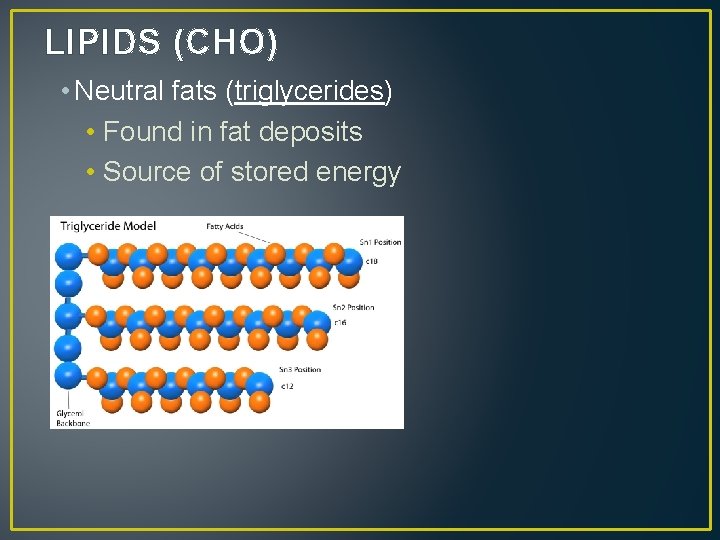 LIPIDS (CHO) • Neutral fats (triglycerides) • Found in fat deposits • Source of