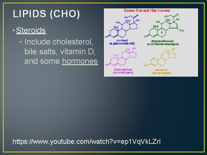 LIPIDS (CHO) • Steroids • Include cholesterol, bile salts, vitamin D, and some hormones