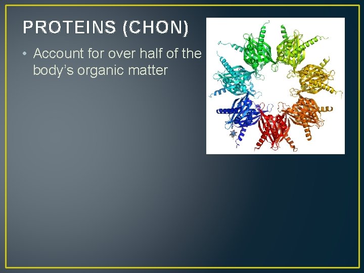 PROTEINS (CHON) • Account for over half of the body’s organic matter 