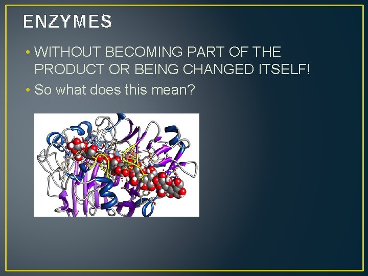 ENZYMES • WITHOUT BECOMING PART OF THE PRODUCT OR BEING CHANGED ITSELF! • So