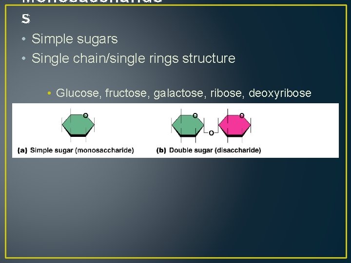 Monosaccharide s • Simple sugars • Single chain/single rings structure • Glucose, fructose, galactose,