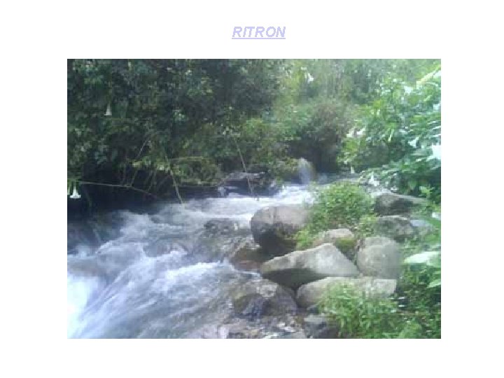 RITRON 