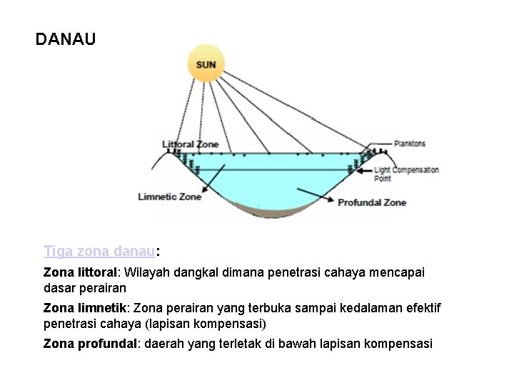 DANAU Tiga zona danau: Zona littoral: Wilayah dangkal dimana penetrasi cahaya mencapai dasar perairan