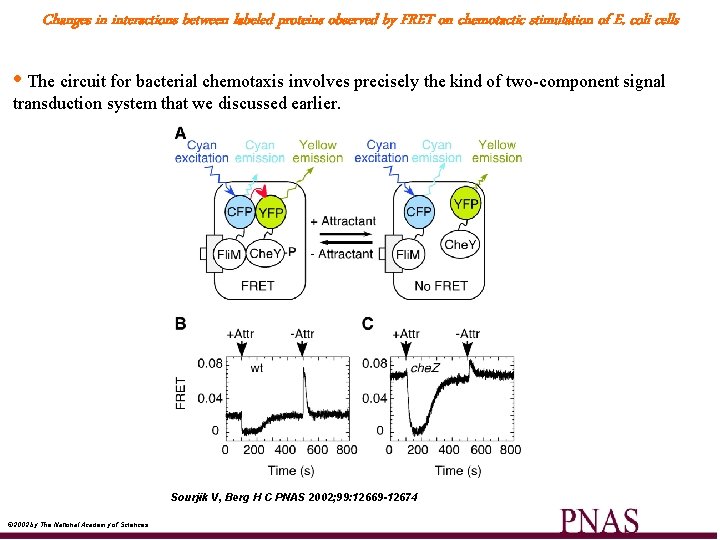 Changes in interactions between labeled proteins observed by FRET on chemotactic stimulation of E.