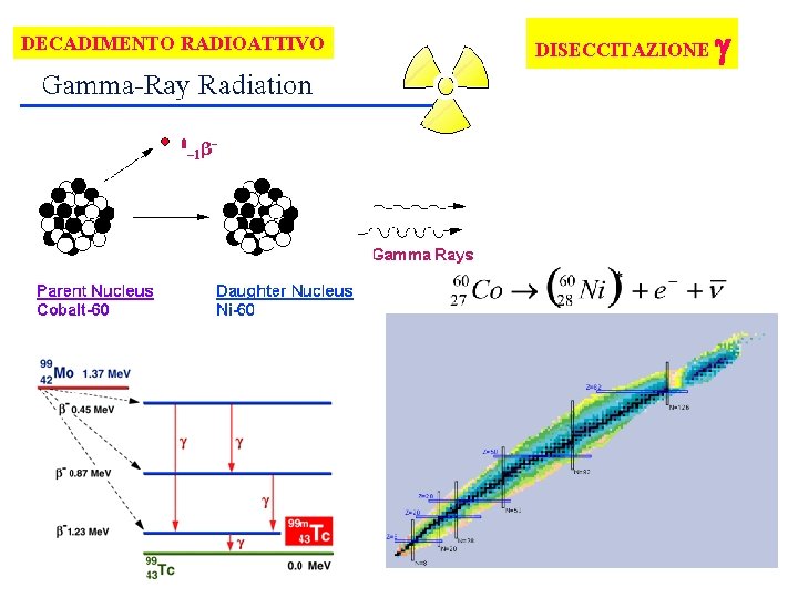 DECADIMENTO RADIOATTIVO DISECCITAZIONE 