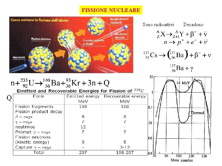 FISSIONE NUCLEARE Sono radioattivi Decadono 