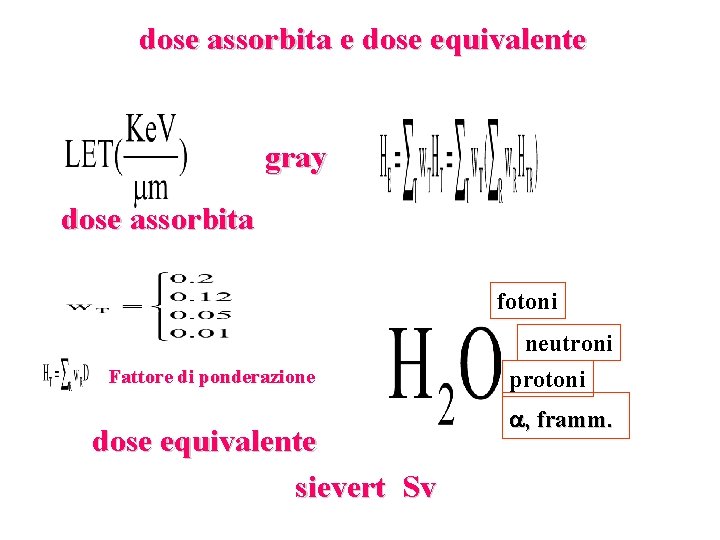 dose assorbita e dose equivalente gray dose assorbita fotoni Fattore di ponderazione dose equivalente