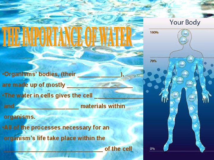  • Organisms’ bodies, (their _______), are made up of mostly __________ • The