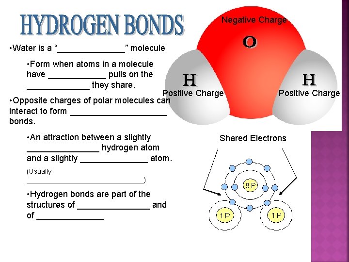 Negative Charge • Water is a “_______” molecule • Form when atoms in a